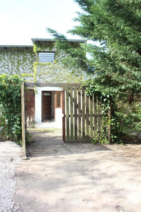 Appartamento Casita Moderna Frente Al Bosque Mar del Plata Esterno foto
